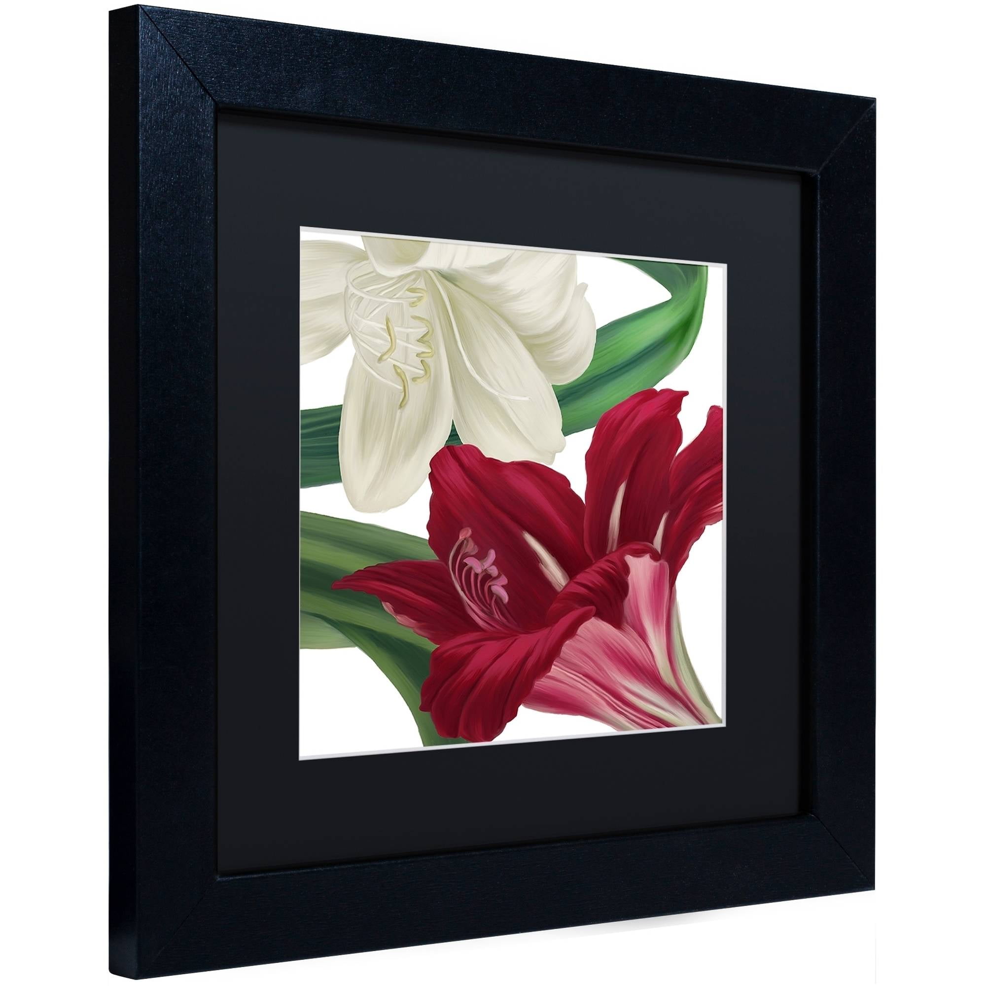 Trademark Fine Art "Christmas Amaryllis II" Canvas Art by Color Bakery Black Matte, Black Frame