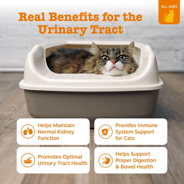 Zesty Paws Urinary Tract Cat Mousse, Chicken Flavor, 3oz photo 2