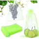 thumbnail image 1 of 30 piezas de bolsas de protección de uvas de 20x30cm, bolsas de protección de frutas verdes con cuerdas, bolsas de organza, bolsas de malla transparente para prevenir moscas de la fruta, avispas, inse, 1 of 5