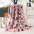 thumbnail image 2 of Pink Cute Dachshund Dog and Love Heart Blanket,Comfortable Soft Flannel Throw Blanket,All Season,Warm Lightweight Blankets for Sofa Bed Couch Living Room Chair,60"x80"(150x200cm), 2 of 4