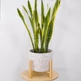 thumbnail image 4 of Better Homes & Gardens 14"D x 10.2"H Ceramic & Wood Planter & Stand Set, White, 4 of 10