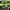 Green, variant on New Bright (1:24) Chevy Blazer Battery Remote Control Green Truck, 2424-8G Child