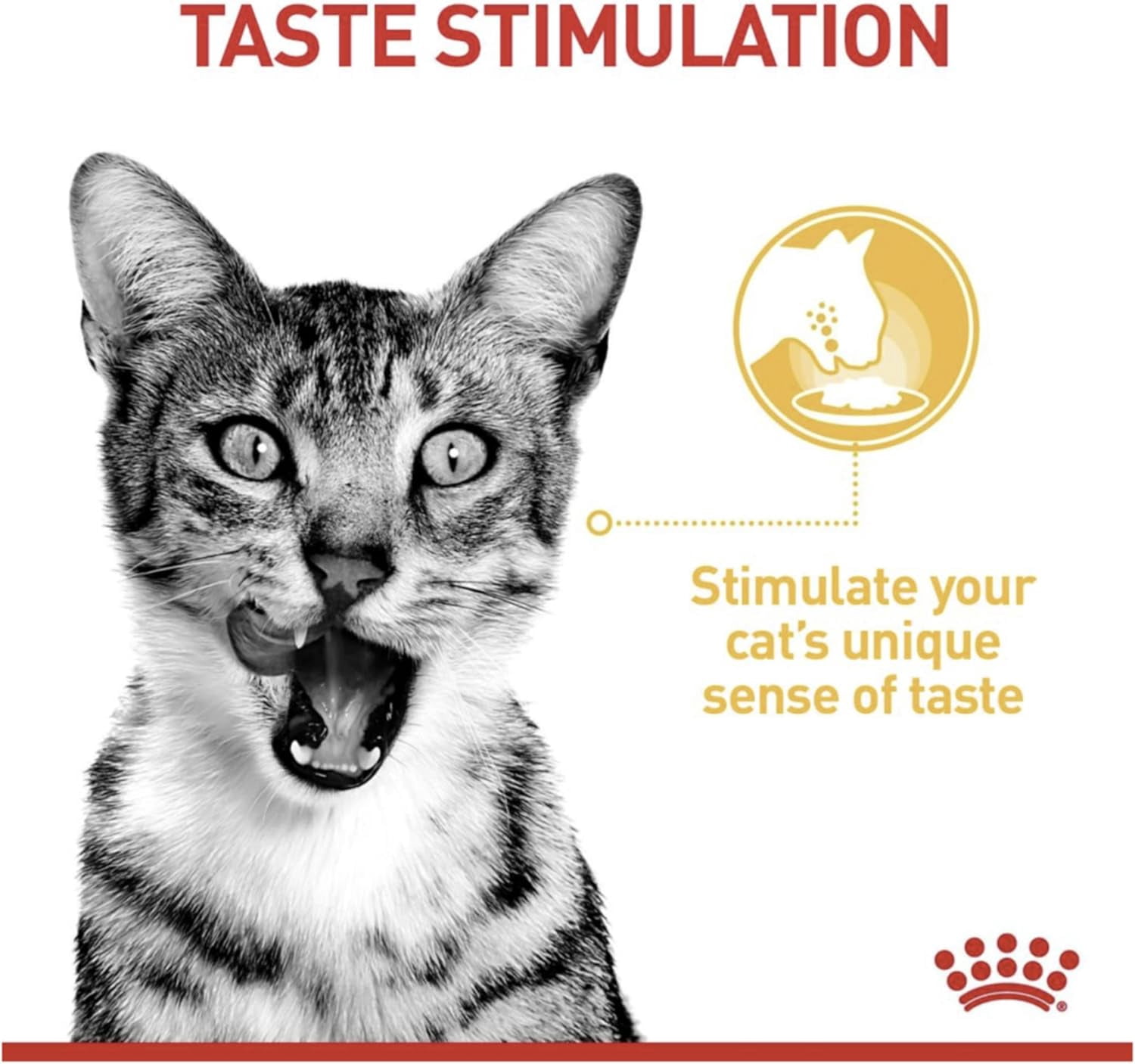 Royal Canin Sensory Taste Dog Wet Food 12x85g Jelly