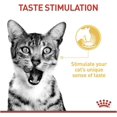 thumbnail image 5 of Royal Canin Sensory Taste Dog Wet Food 12x85g Jelly, 5 of 9