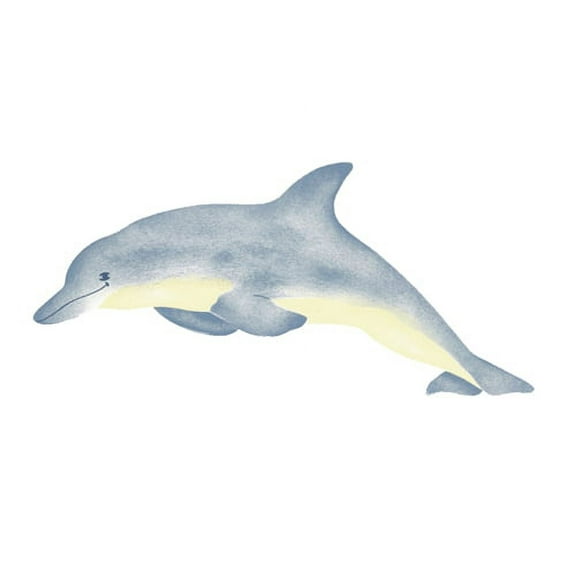 Large Single Dophin Wall Stencil -E182 by Designer Stencils