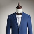 thumbnail image 1 of Pajarita,,,Hombres Accesorios Baoblaze Pajarita, 1 of 8