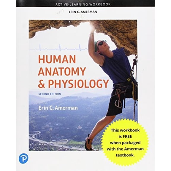 Pre-Owned Active-Learning Workbook for Human Anatomy & Physiology Paperback