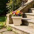 thumbnail image 4 of Thickened Square Plants Planter Faux Ceramic Plastic Flower Pot With Base Tray For Succulents Beige 7.8 Inch, 4 of 4