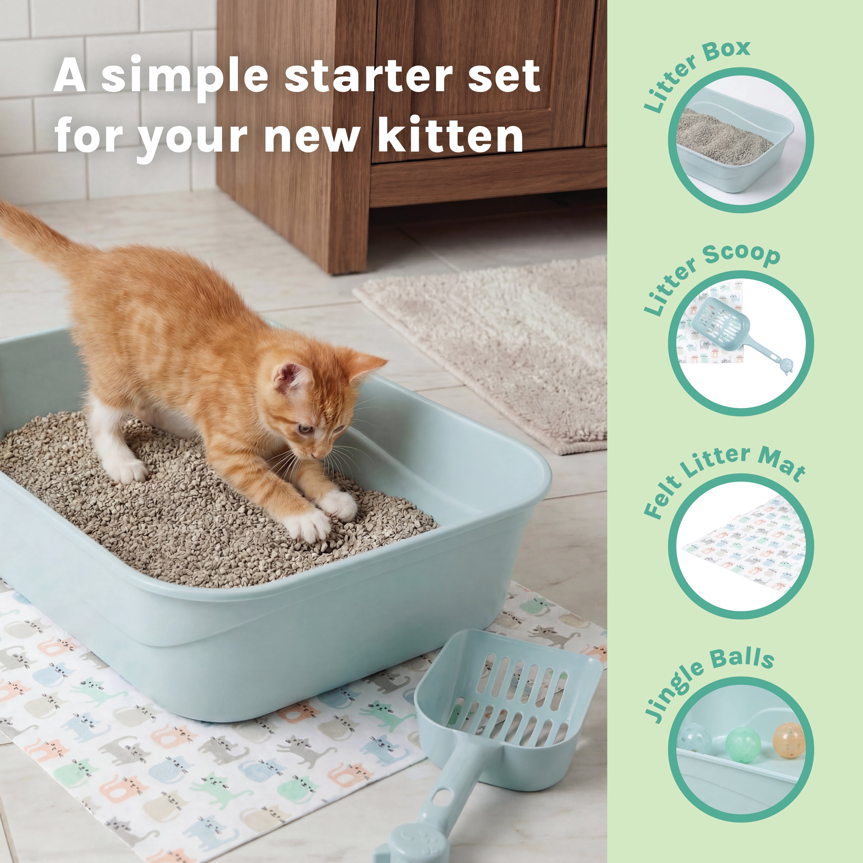 Kitty City Plastic Open Top Kitten Litter Box 4-Pack Starter Set, Multicolored, One Size