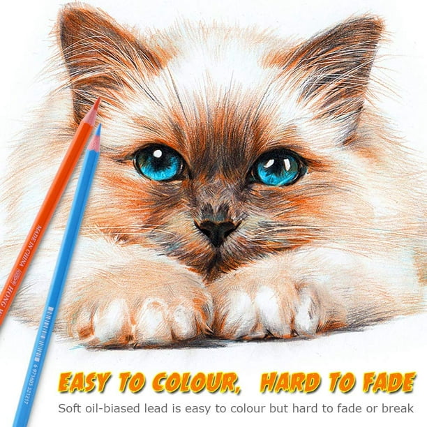 Crayons de couleur enfants - 36 pièces - Couleurs - Dessin - Pour enfants  et adultes