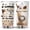 Cat Lady Coffee, variant on Cat Gifts for Cat Lovers, Funny Cat Tumbler with Lid Stainless Steel, Cute Cat Cup, Cat Tumbler with Handle, Cat Gifts for Women