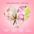 thumbnail image 4 of Find Your Happy Place Wrapped In Your Arms Fine Fragrance Body Mist Blush Rose and Magnolia, 8 fl oz, 4 of 10