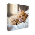 thumbnail image 4 of Stupell Industries Sleeping Orange Kitten Animals & Insects Painting Gallery Wrapped Canvas Art Print Wall Art, 36 x 36, 4 of 8