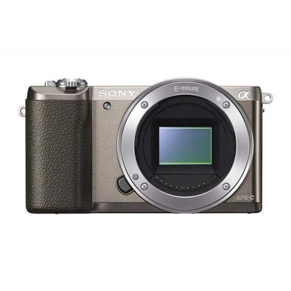 Sony Mirrorless Digital Camera with 3Inch Flip Up LCD (Brown) Intl