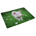 thumbnail image 2 of MKHERT Young Pig on a Spring Green Grass Cute Animal Doormat Rug Home Decor Floor Mat Bath Mat 30x18 inch, 2 of 3