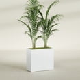thumbnail image 2 of Greenline Fiberglass Alice Rectangle Planter - Indoor/Outdoor Large Fiberglass Lightweight Planter - 36" x 16" x 32" (Gloss White), 2 of 7