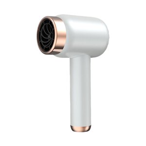 Séchoir à cheveux portable avec technologie de séchage rapide pour le voyage et la maison