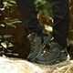 thumbnail image 3 of Zapatillas de Senderismo Unisex Zapatillas de Deporte Antideslizantes para Entrenamiento de Trekking en Exteriores 35 Yinane Zapatos de senderismo para hombre, 3 of 8