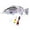 Light Gray2, variant on Swimming Robotic for Outdoor Fishing – Upgraded 2025 Hard Freshwater and Saltwater Swimbait with Charging Auto Attractant System for Anglers