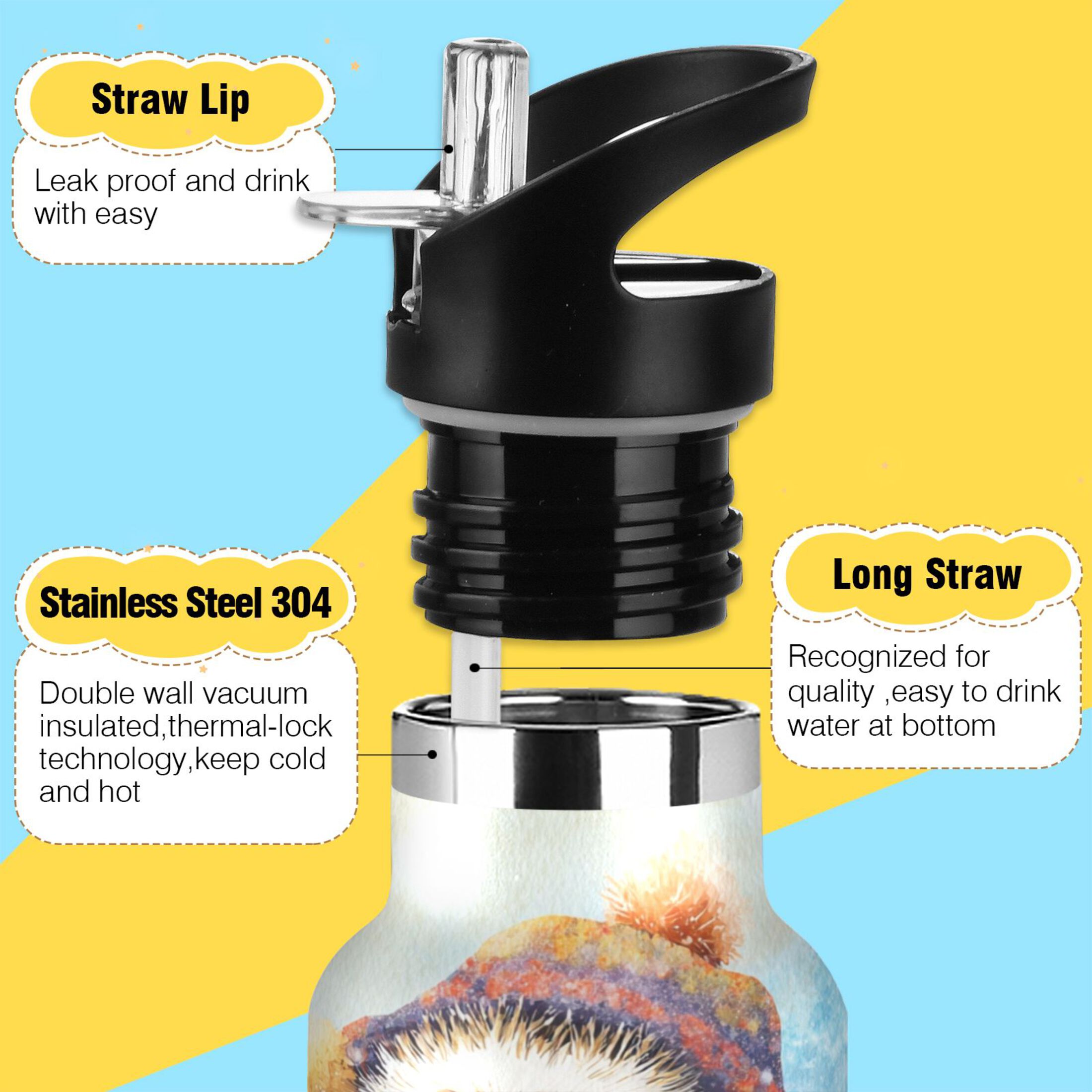 Kids Insulated Stainless Steel Sports Water Bottle 600ml (20oz) Cute Hedgehog in Hat
