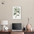 thumbnail image 2 of Art Remedy Botanical Prints Canvas, 16" x 24", Silver Frame, Mountain Cypress, 2 of 7