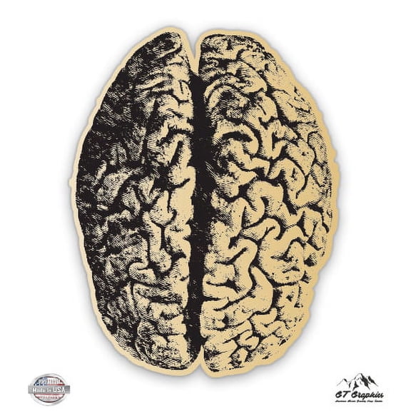 Brain - 3" Vinyl Sticker - For Car Laptop I-Pad Phone Helmet Hard Hat - Waterproof Decal