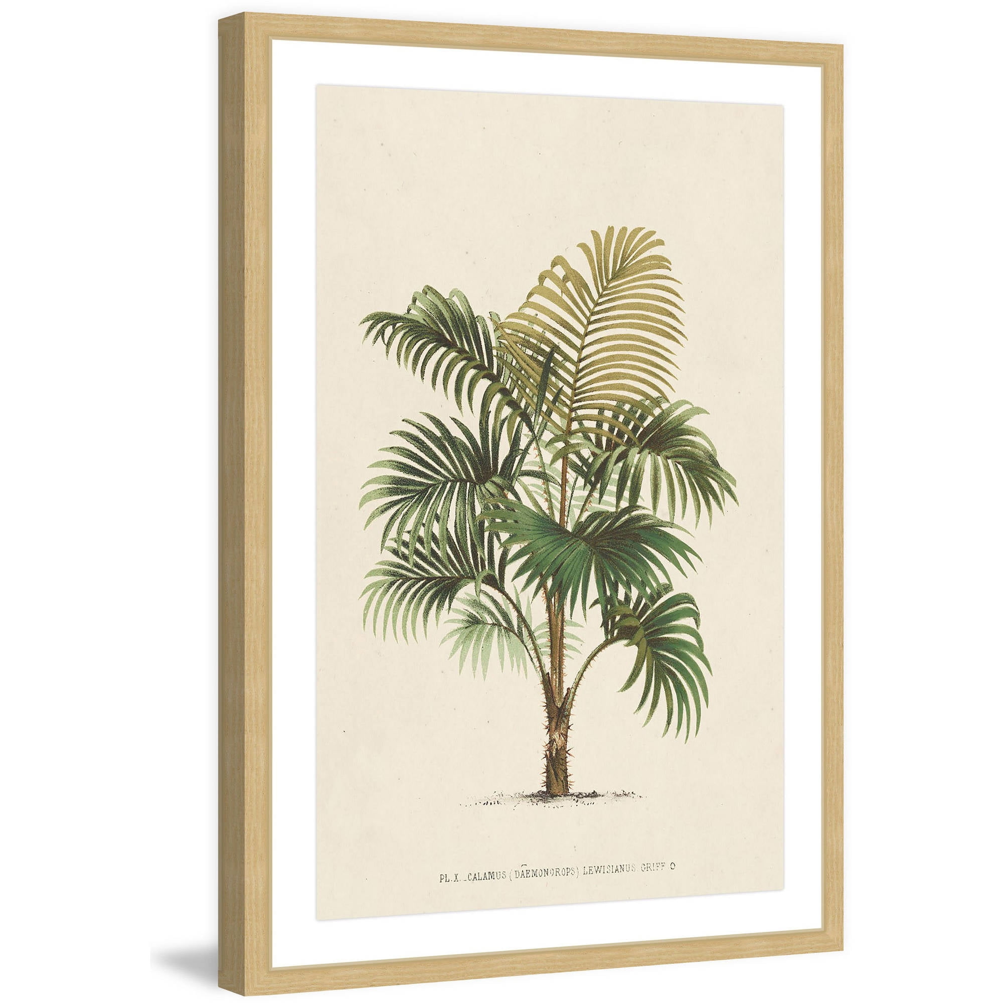 Marmont Hill "Les Palmiers IV" Framed Painting Print