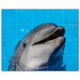 thumbnail image 1 of Picture-Tiles.com: Dolphin Ceramic Tile Wall Mural WAL500496-54M. 30"W x 24"H using (20) 6" x 6" Ceramic Tiles-Satin Finish, 1 of 3