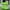 Green, variant on Men Sneakers Fashion Sport Running Athletic Tennis Walking Shoes