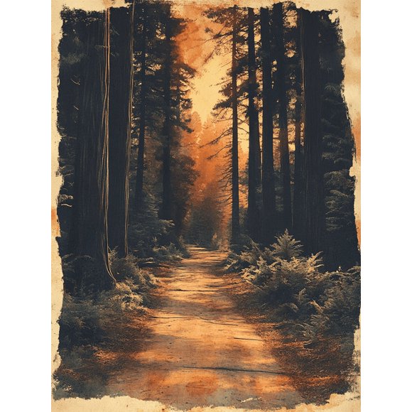 Sunset Redwood Forest Path Art sur Toile/art Mural, Parfait pour Décoration de Salon, Bureau et Couloir
