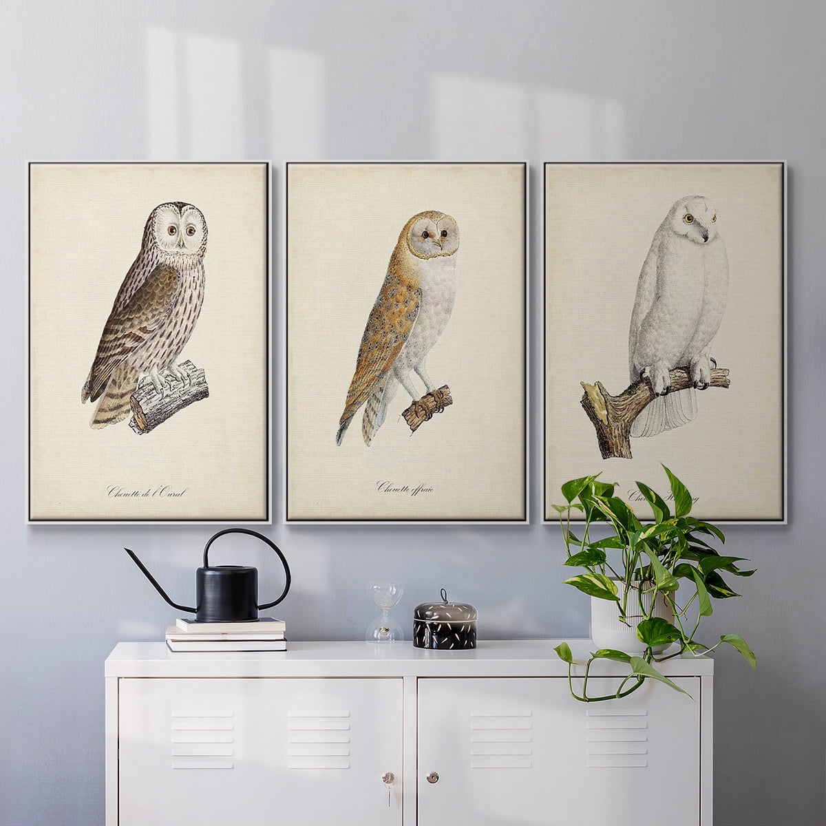 French Owls IV - Framed Premium Gallery Wrapped Canvas L Frame 3 Piece Set - Ready to Hang