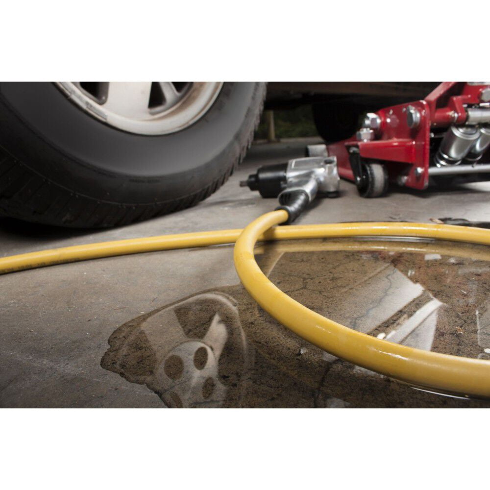 Blubird Oilshield Next-Gen 3/8 Inch X 50 Ft. Rubber Air Hose Assembly