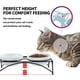thumbnail image 2 of Cuencos para gatos FOREYY Elevated con 2 de cerámica y 2 de acero inoxidable, 2 of 8