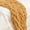 Gold, variant on Donna Sharp Chenille Knitted Black Throw