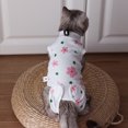 thumbnail image 3 of enjoywould Costume de Stérilisation pour Animaux de Compagnie Bande de Fixation à Haute Élasticité Boucle Fixe Réglable Chiot Chien Vêtements de Récupération Chirurgicale Accessoires pour Animaux de Compagnie, 3 of 9