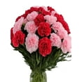thumbnail image 2 of KaBloom :Bouquet of 12 Red and Pink Carnation vase Next-Day Delivery, Gift for Every Occasion., 2 of 5
