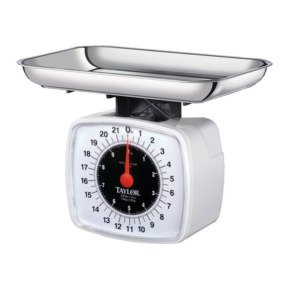 Taylor® Precision Products 3880 Kitchen & Food Scale, 22 Lbs
