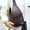 Coffee,Free Size#2, variant on Water-Resistant Crossbody Backpack with USB & Headphone Ports | Adjustable Sling Bag for Hiking, Travel & Daily Use