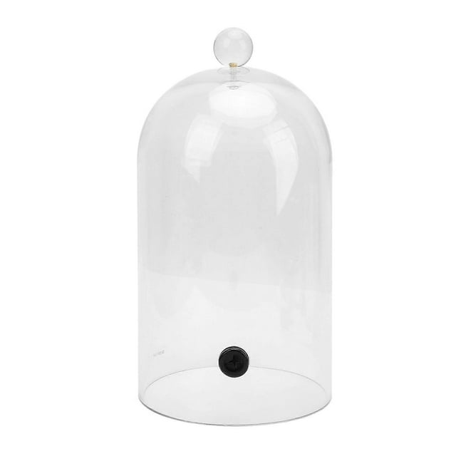 Cloche à fumer en acrylique transparent, 24 cm, pour aliments et boissons