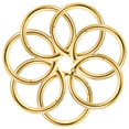thumbnail image 5 of SUTENGDA 10pcs Flat Key Rings Metal Split Circles Key Chain Making Rings DIY Circle Rings, 5 of 5