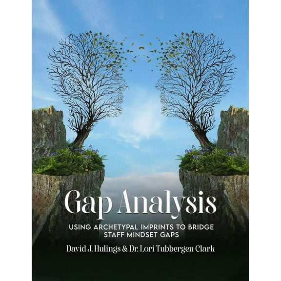 Gap Analysis: Using Archetypal Imprints to Bridge Staff Mindset Gaps, (Paperback)