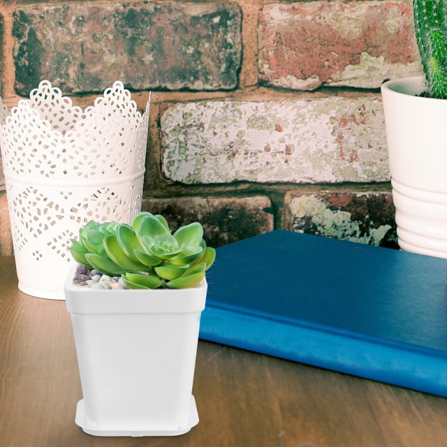 unbranded 12Ud Macetas Creativas De Plástico Para Plantas Suculentas Y