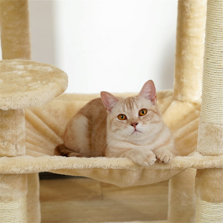 Cat hammock for large cats online