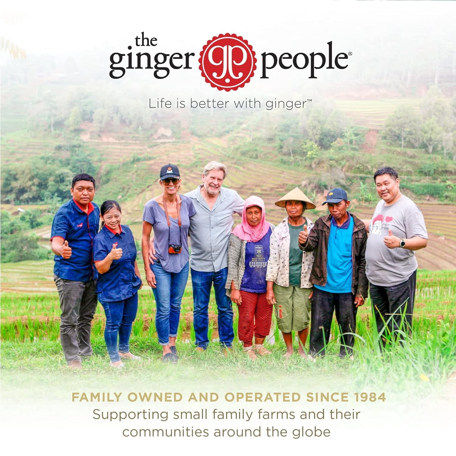 (Pack Of 24) Ginger People Ginger Turmeric Soother Beverage 12 Fl Oz