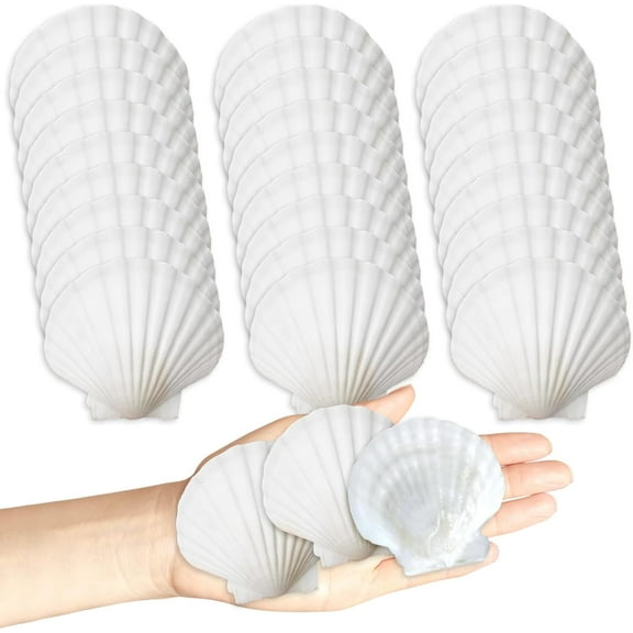 30Pcs Seashells for Crafts,Scallop Shells for Beach Decoration,2-3In Seashells for DIY Craft Painting,White Sea Shells for Beaching Wedding,Party,Home Decoration