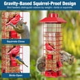 thumbnail image 6 of Kingsyard Squirrel Proof Bird Feeder for Outdoor Hanging, Metal Tube, 3 lbs Capacity, 4 Ports, Red, 6 of 14