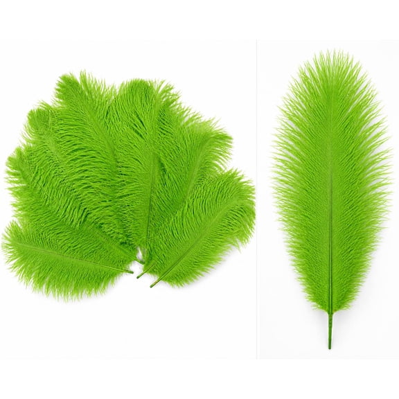 Kelly Green Ostrich Feather 8-12 inch size per Six