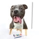 thumbnail image 2 of DIY imagen Digital animales pintura sin marco por números arte artesanía dibujo Likrtyny Arte deco, 2 of 9