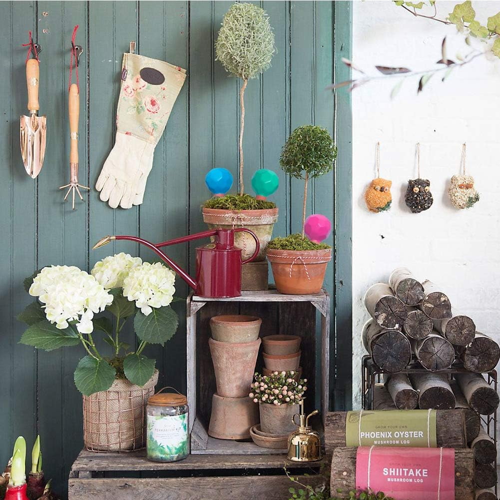 Self Watering Spikes, Automatic Plant Watering Can Sustained Moist Roots for Plant Healthier for Indoor and Outdoor Hanging Planters Keep You Good Holiday