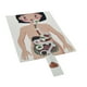 thumbnail image 3 of Modelo de sistema digestivo humano, Material de enseñanza, rompecabezas 3D DIY, partes del cuerpo humano, juguetes educativos para adolescentes y adul, 3 of 9
